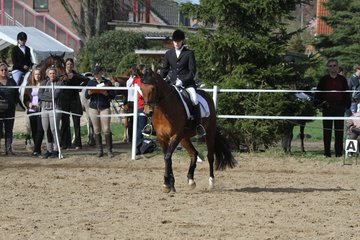 Bild 1027 - WBO-Turnier am 9.4.11